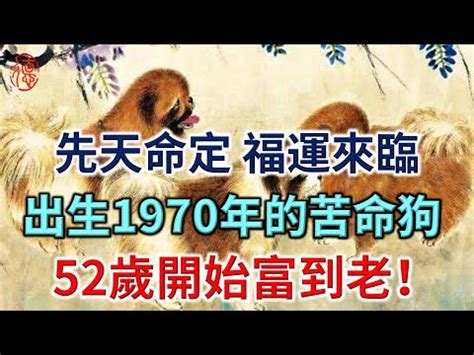 1970 屬狗 五行 缺什麼|【1970 屬狗 五行 缺什麼】1970屬狗五行缺什麼？命理與貴人一次。